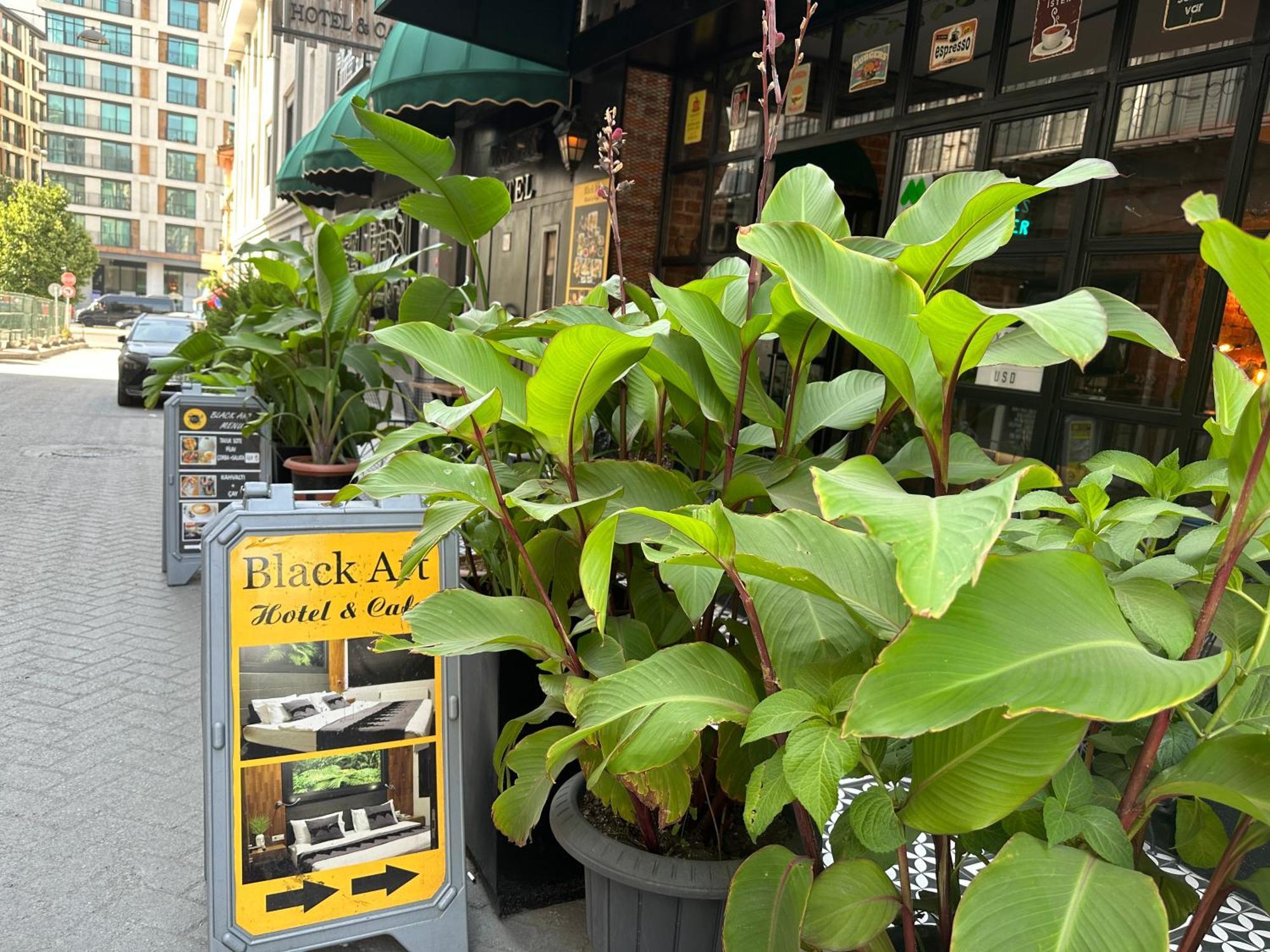 Black Art Hotel 5*